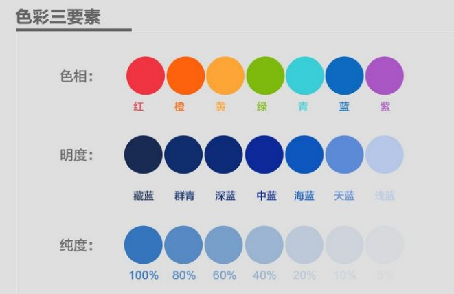 網頁設計